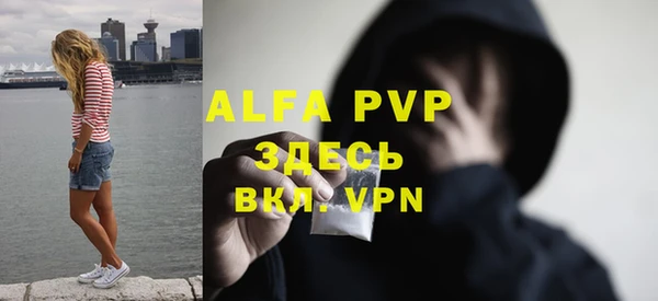 СК Арсеньев