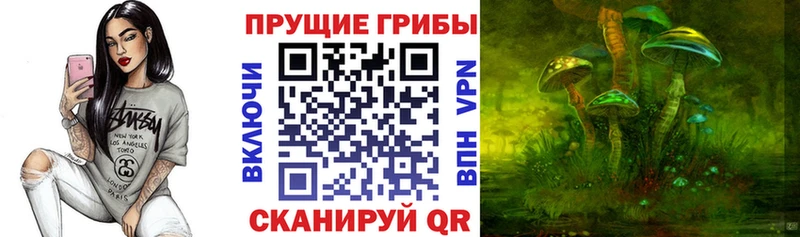 Псилоцибиновые грибы мицелий  Ленск 